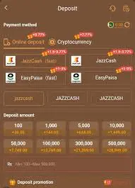 1PPP Login